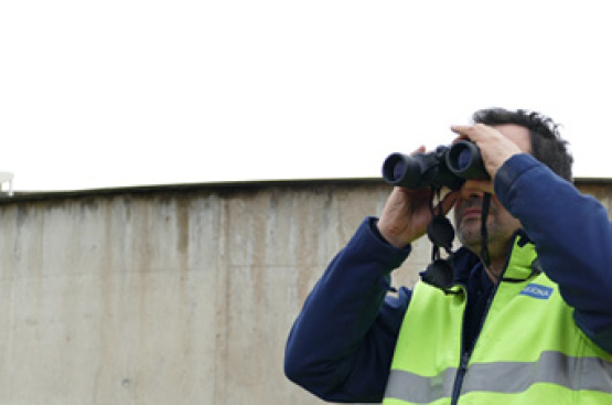 Ir a la noticia Aquona celebra el Día Mundial de la Biodiversidad Biológica con más de 2.400 observaciones de cerca de 60 especies distintas de aves