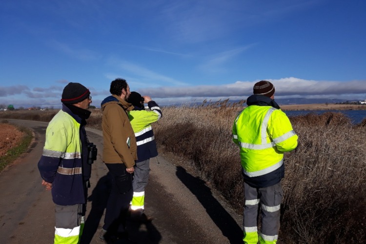 Ir a la noticia Aquona celebra el Día de la Biodiversidad con la realización de censos de primavera en sus instalaciones