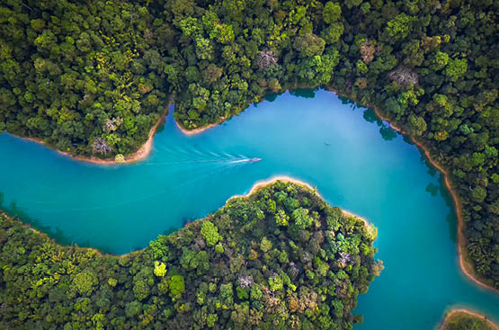 Ir a la noticia Today, October 24, we celebrate the International Day Against Climate Change