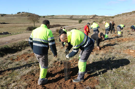 Ir a la noticia The Aquae Foundation obtains the triple seal of the Ministry of Ecological Transition thanks to the Sembrando Oxygen project in which Aquona participates