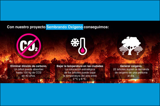 Ir a la noticia El proyecto ‘Sembrando O2’, impulsado por Aquona y su fundación, la Fundación Aquae, eliminará 750 toneladas de CO2 en los próximos 40 años