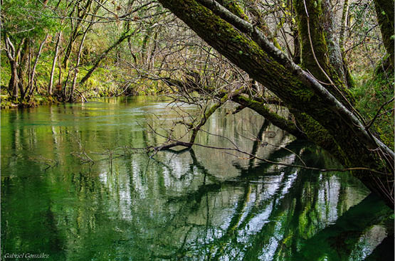 Ir a la noticia Fomentamos la biodiversidad en sus plantas de tratamiento de agua