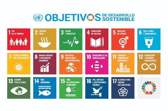Ir a la noticia Aquona: retos y aportaciones a los Objetivos de Desarrollo Sostenible de la ONU