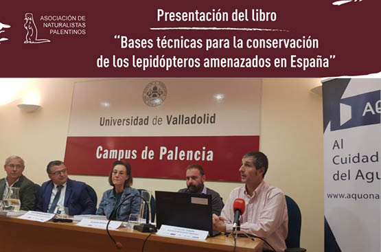 Ir a la noticia Un manual para la protección de las mariposas y para la preservación de la biodiversidad